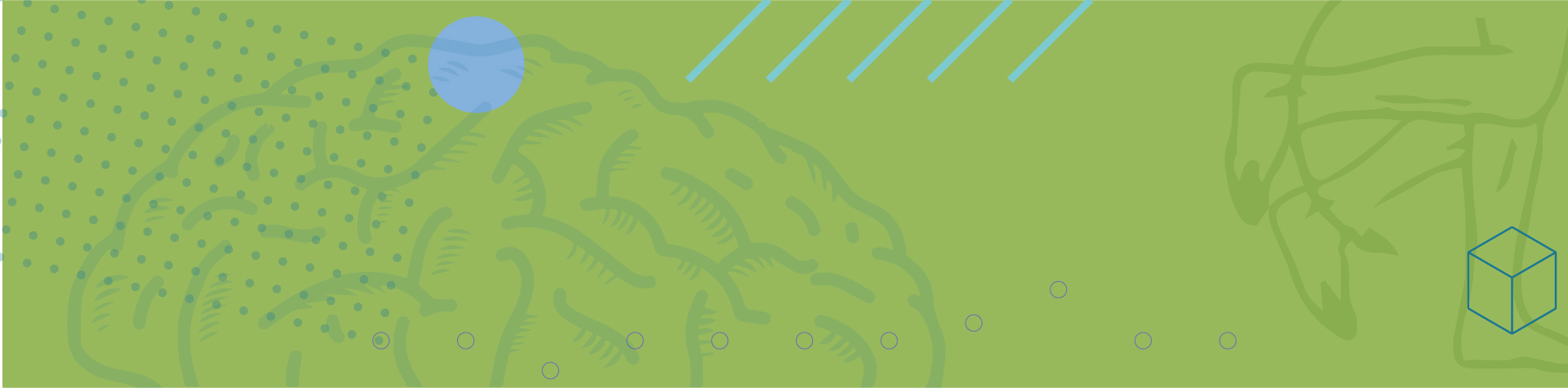 Walkabouts2019site Graphics3 12 Gen1